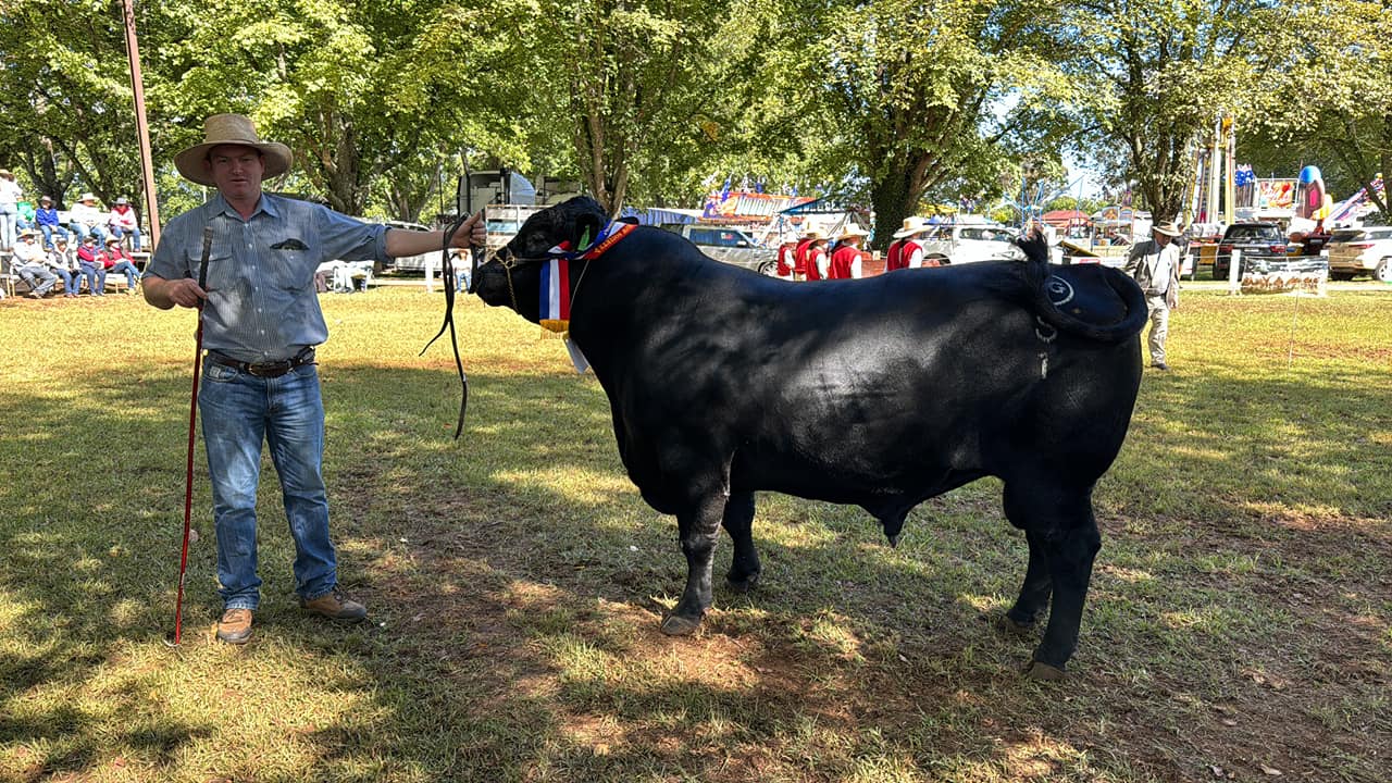 Guyra Show - Senior Champ 2024