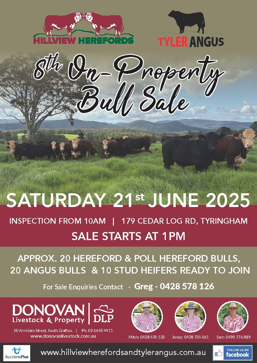 Hillview - Tyler Sale Flyer 2025 v5 Hillview - Tyler Sale Flyer 2025 v5