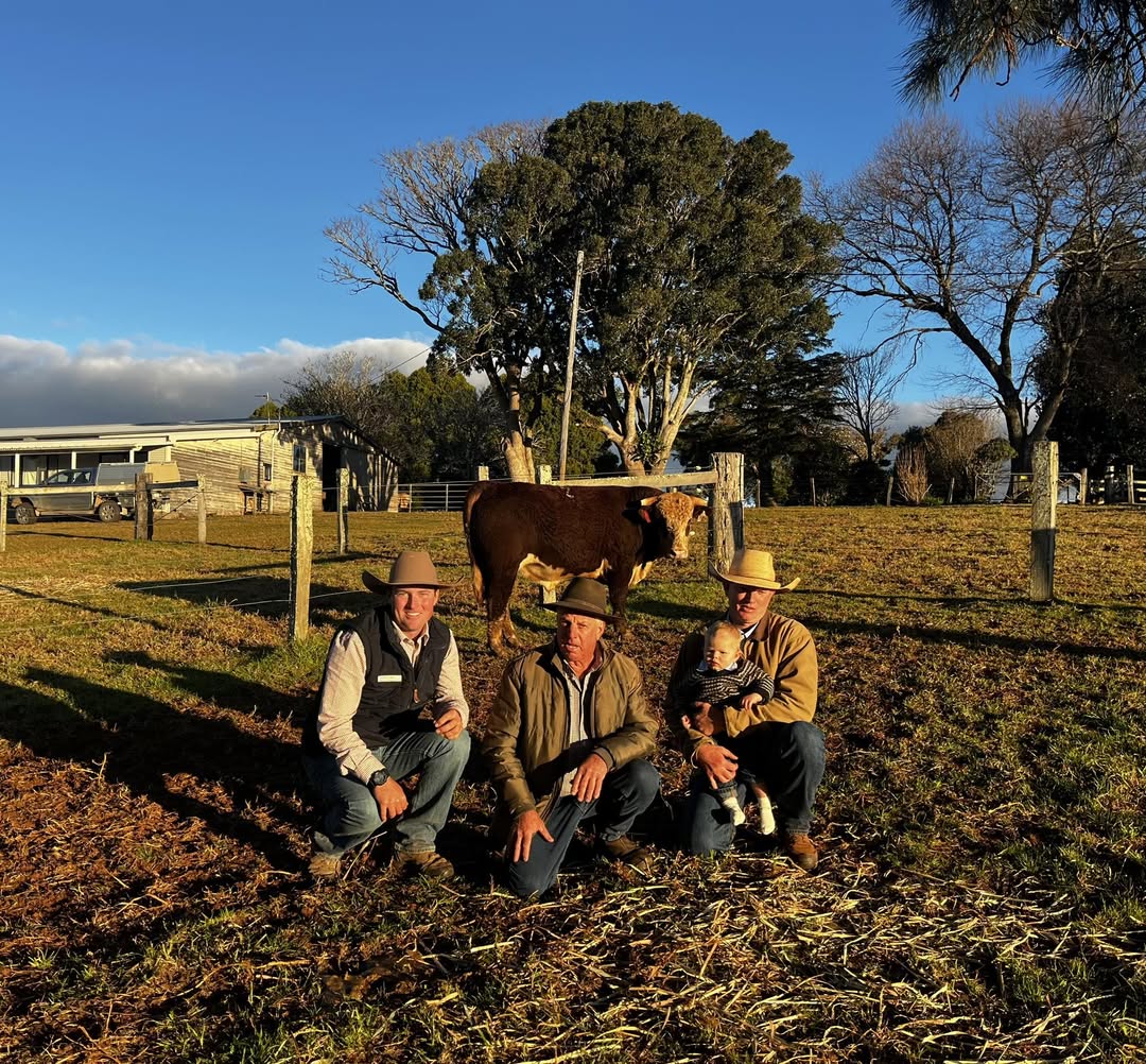 2025 Hereford Sale